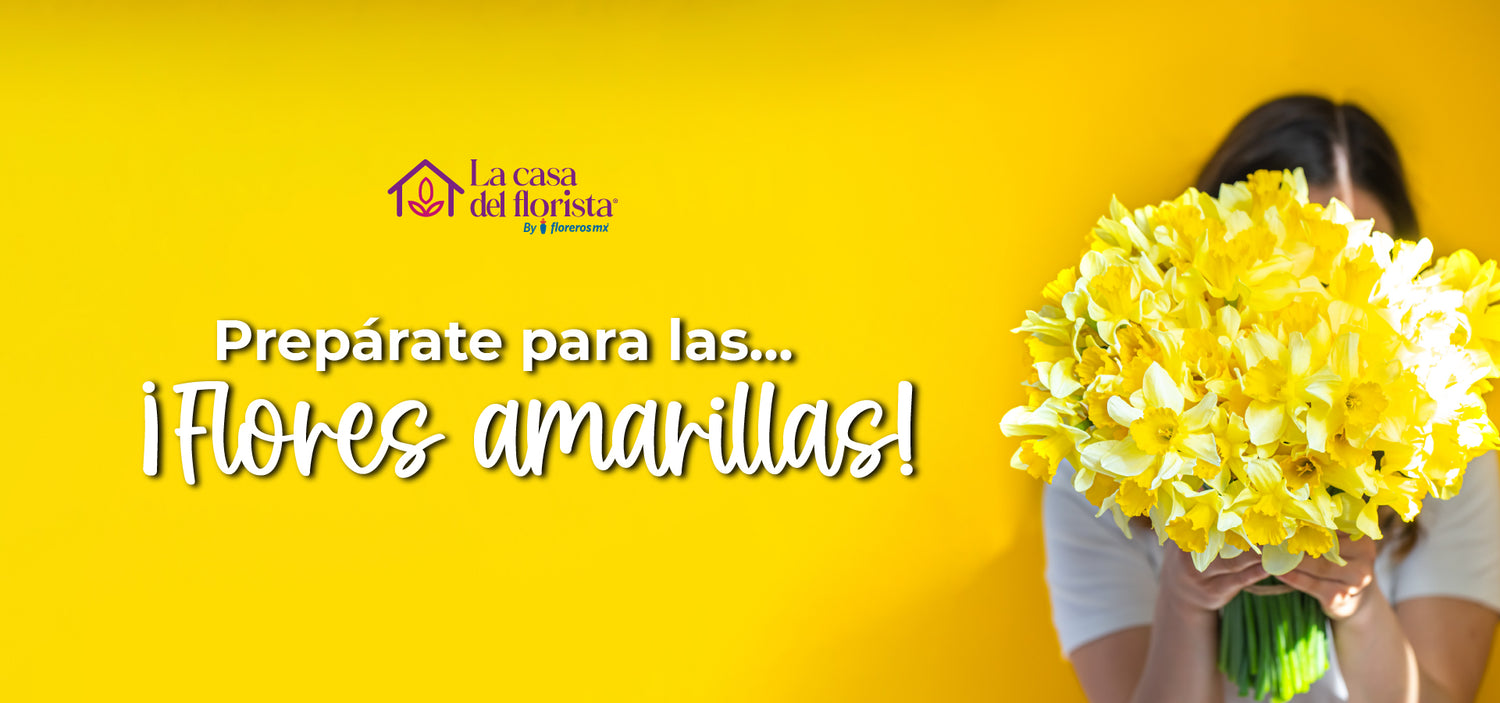 La Casa del Florista