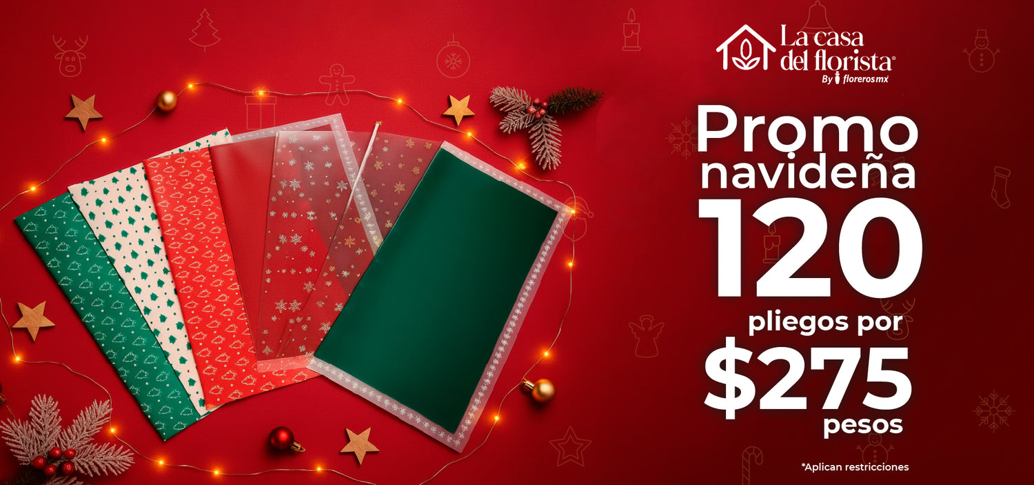 La Casa del Florista