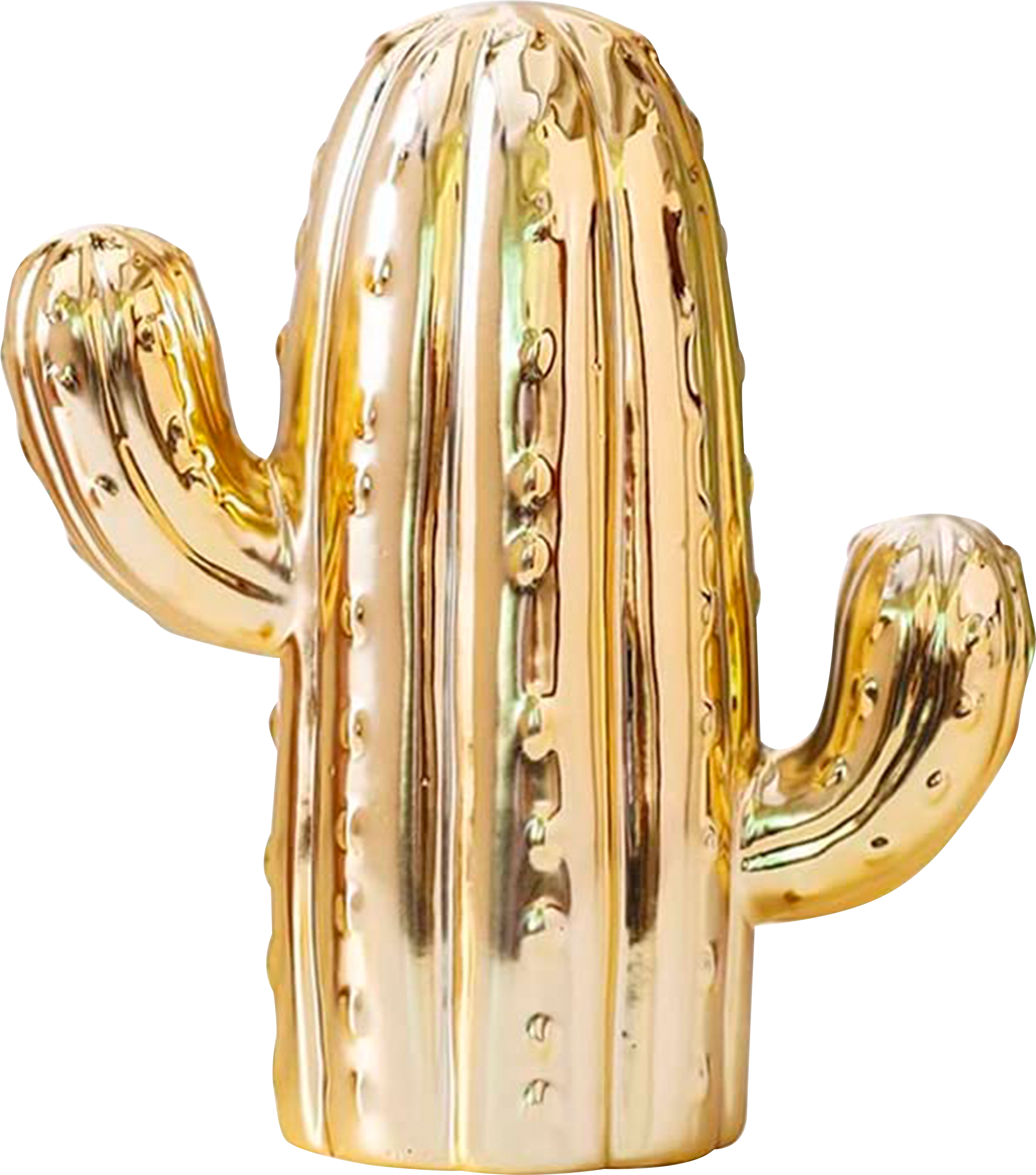 Alcancías en Liquidación – Cerdito, Unicornio, Cactus y Perrito | Promoción Especial