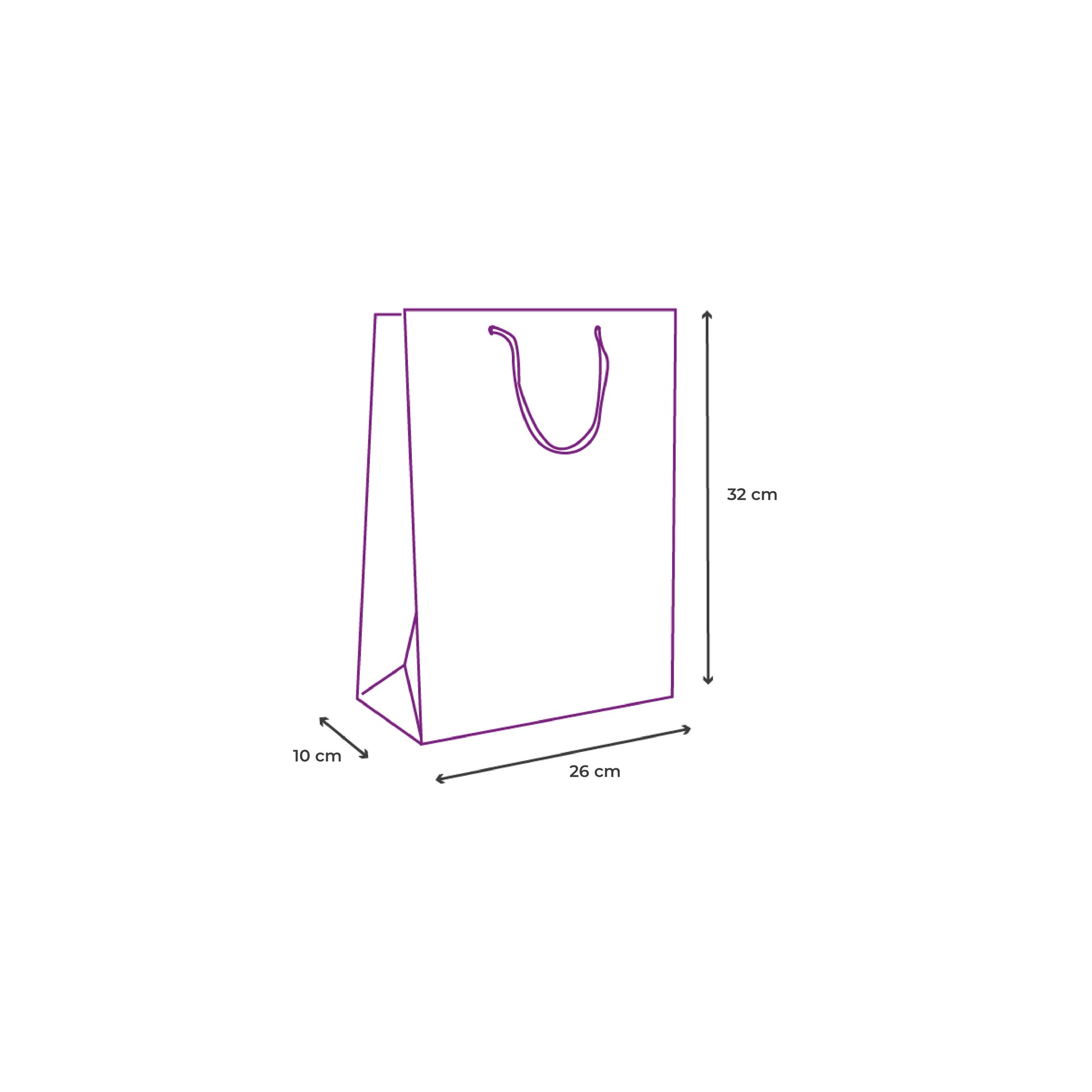 Bolsa para regalo mediana icono dimensiones