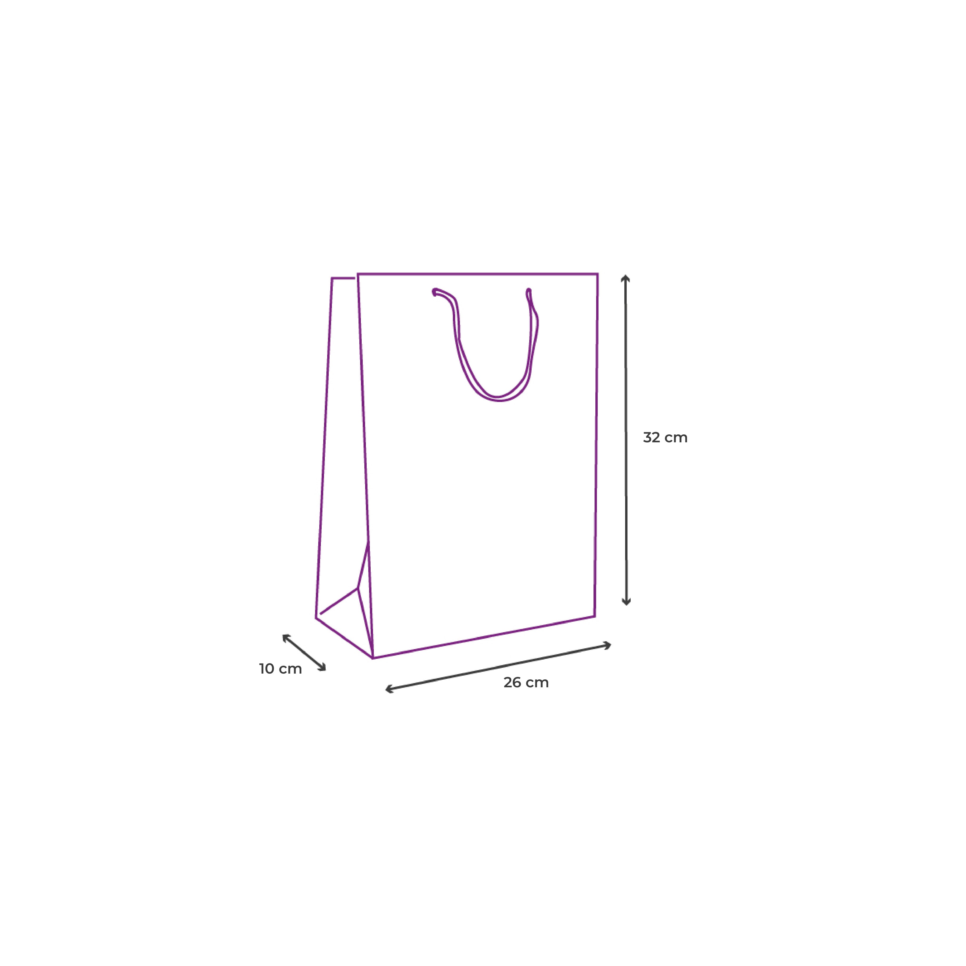 bolsa de regalo mediana, icono dimensiones