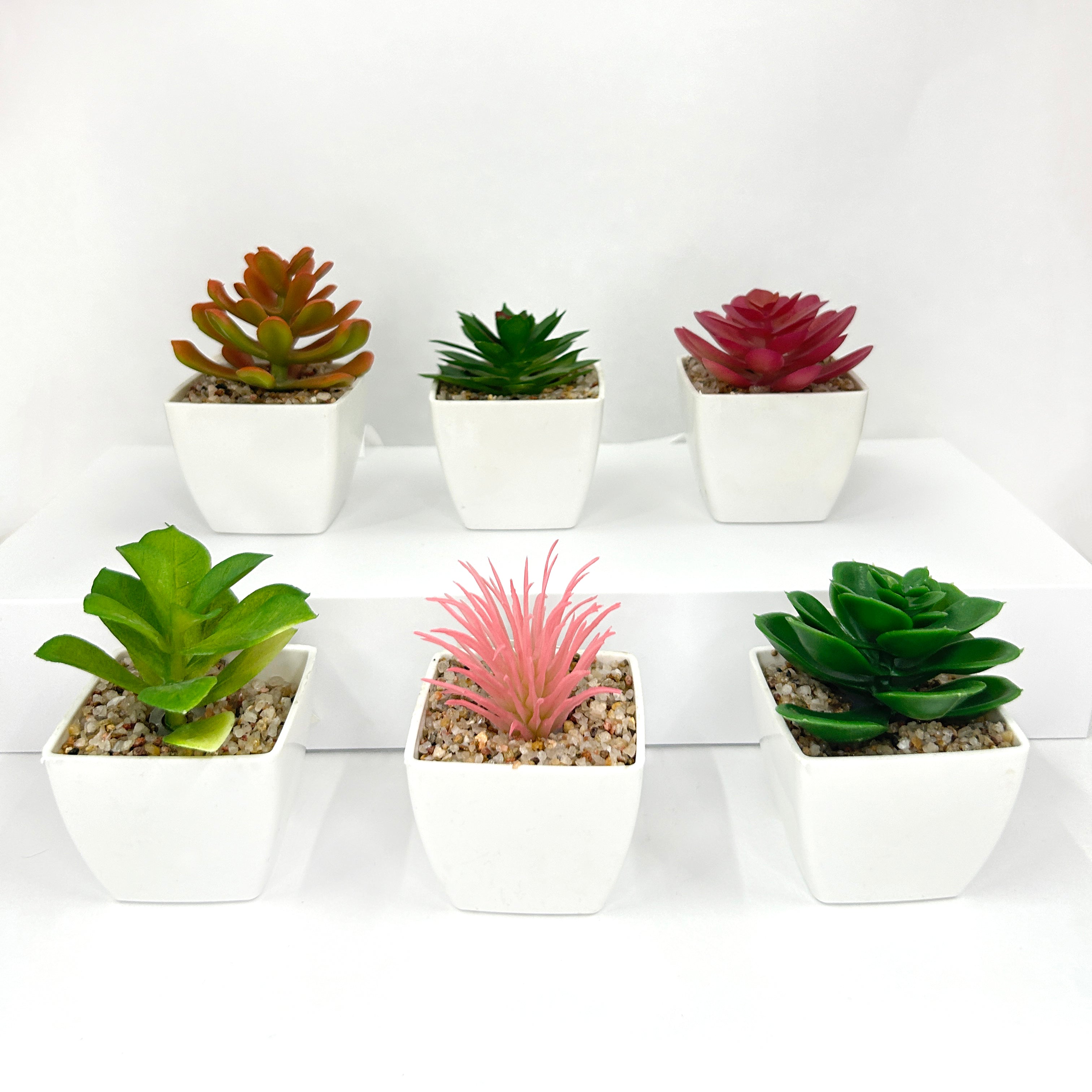 Suculenta planta artificial