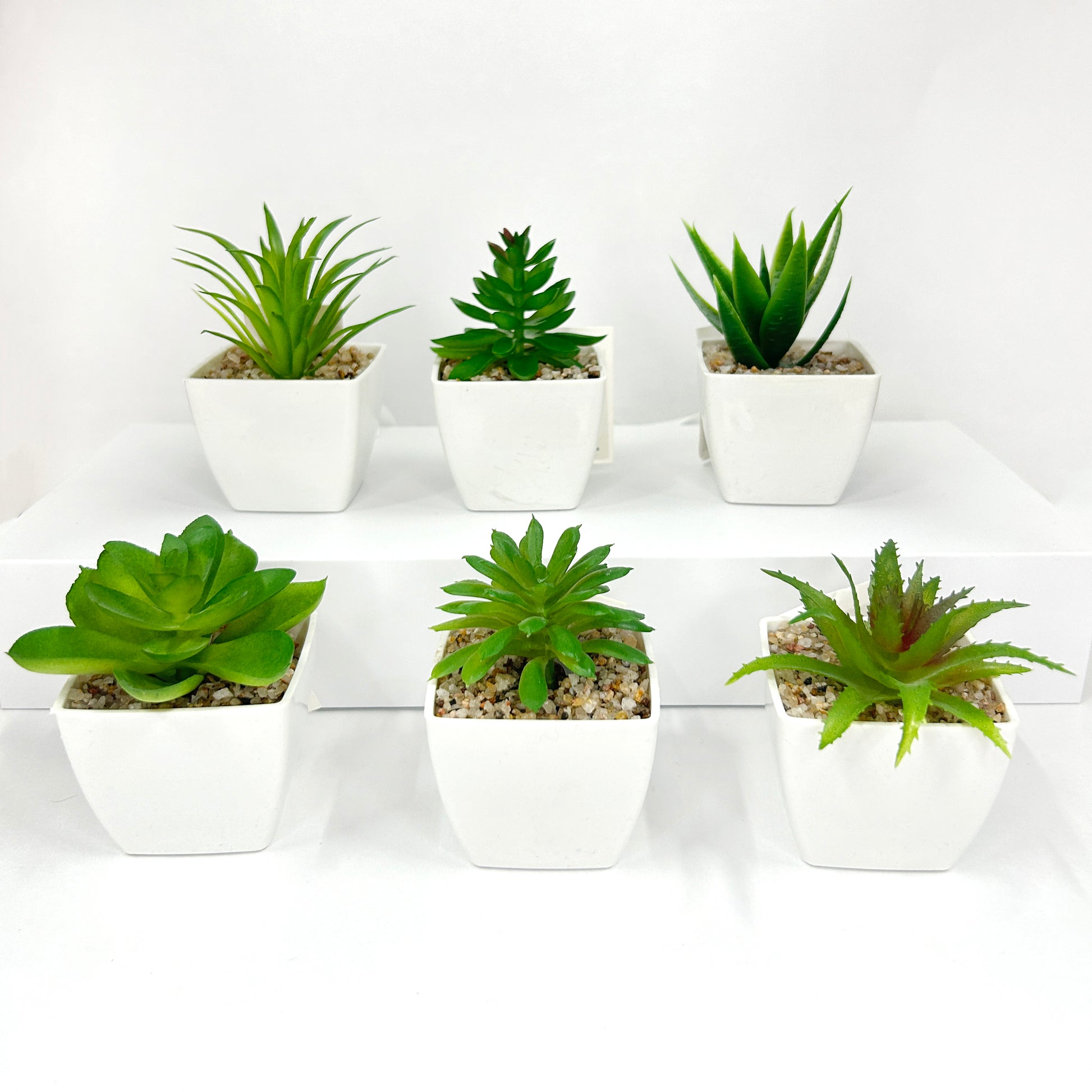 Suculenta planta artificial