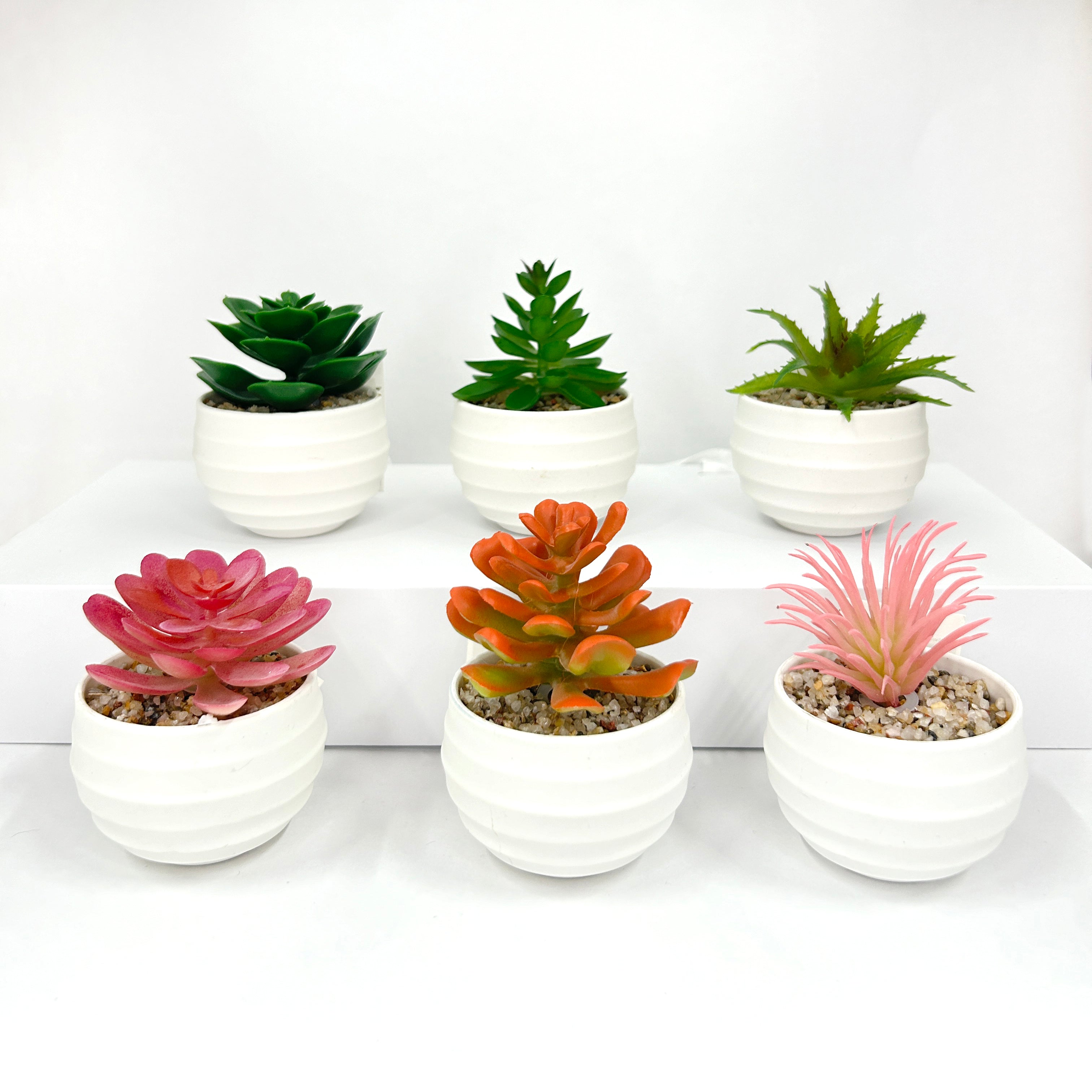 Suculenta planta artificial