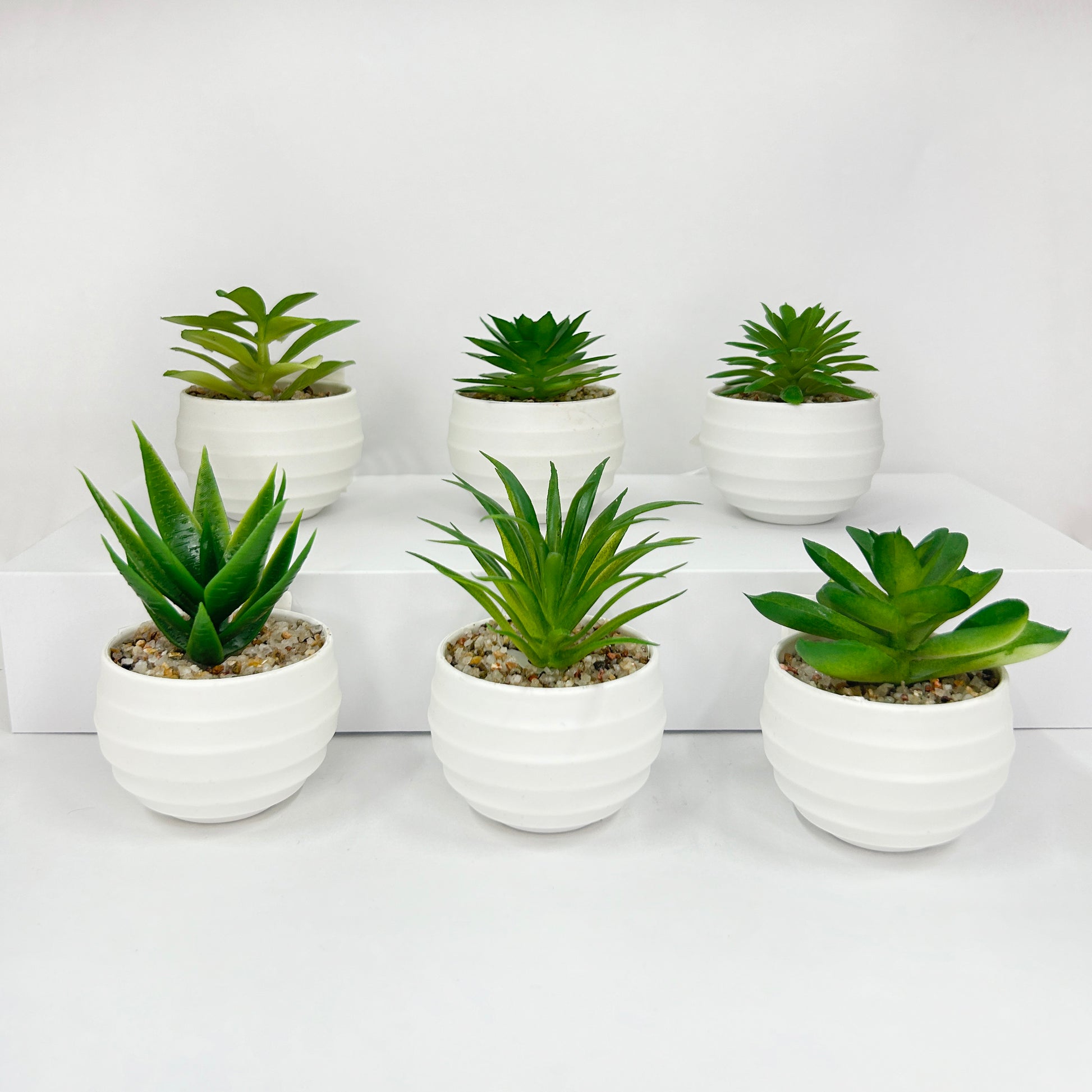 Suculenta planta artificial