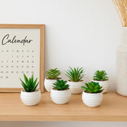 Suculenta planta artificial