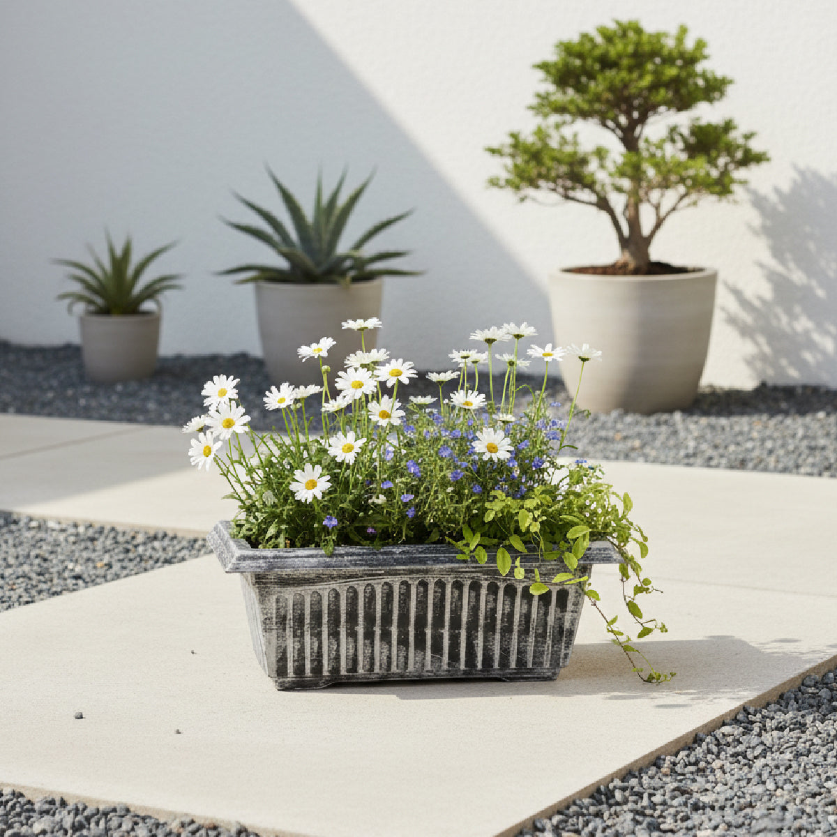 Maceta de plástico rectangular