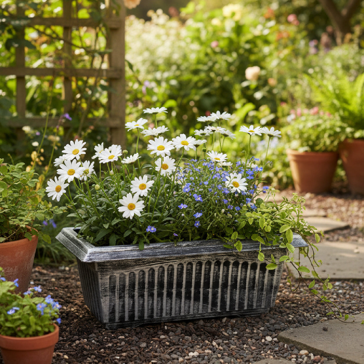 Maceta de plástico rectangular