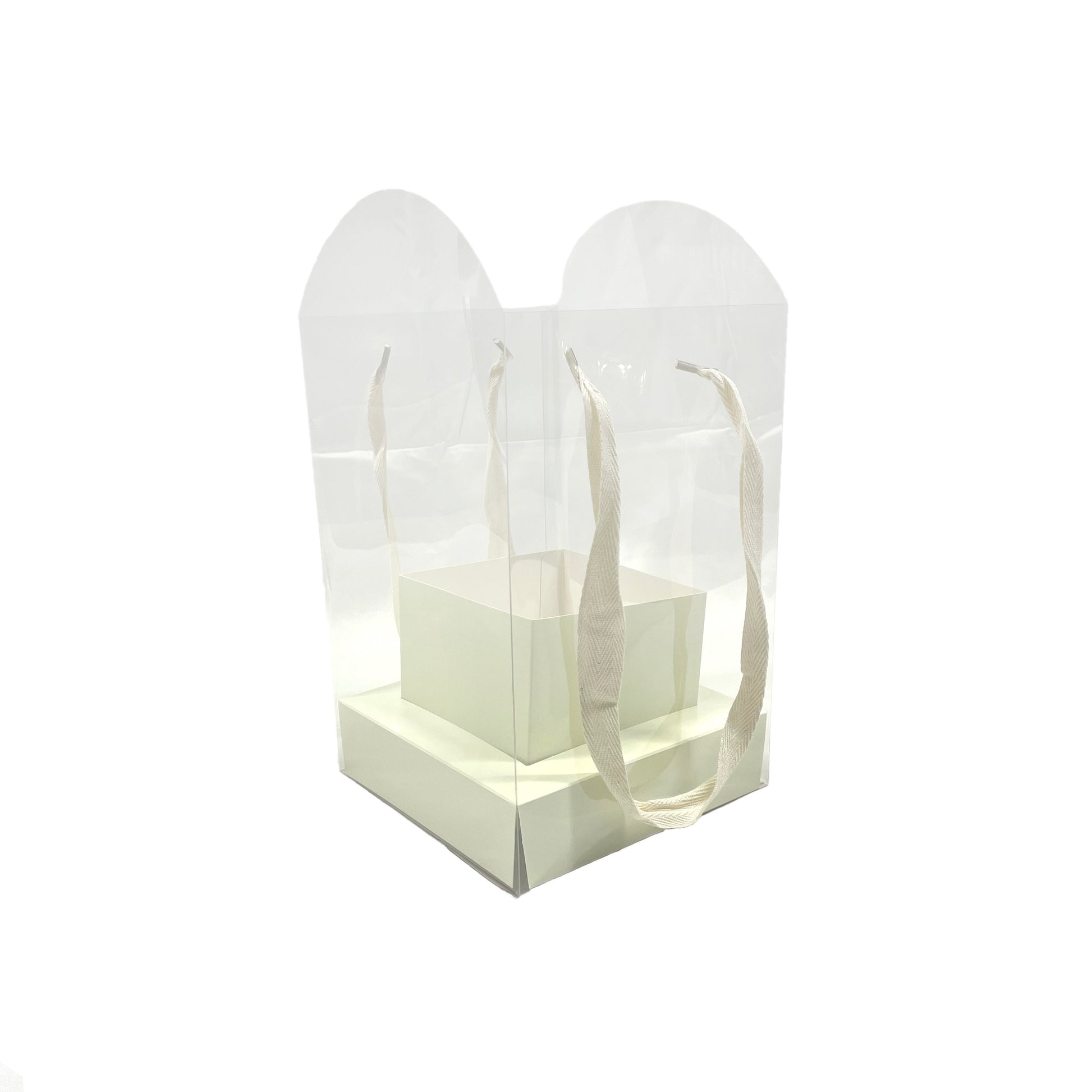 Caja transparente para flores paquete 5 piezas verde pastel