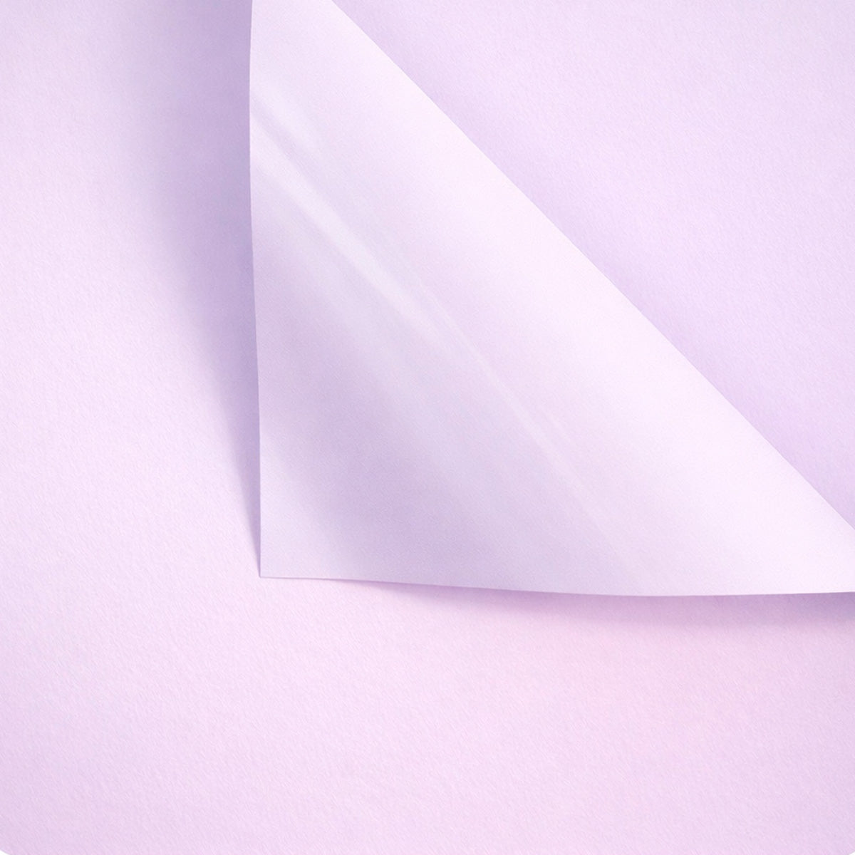 Papel para ramos lila