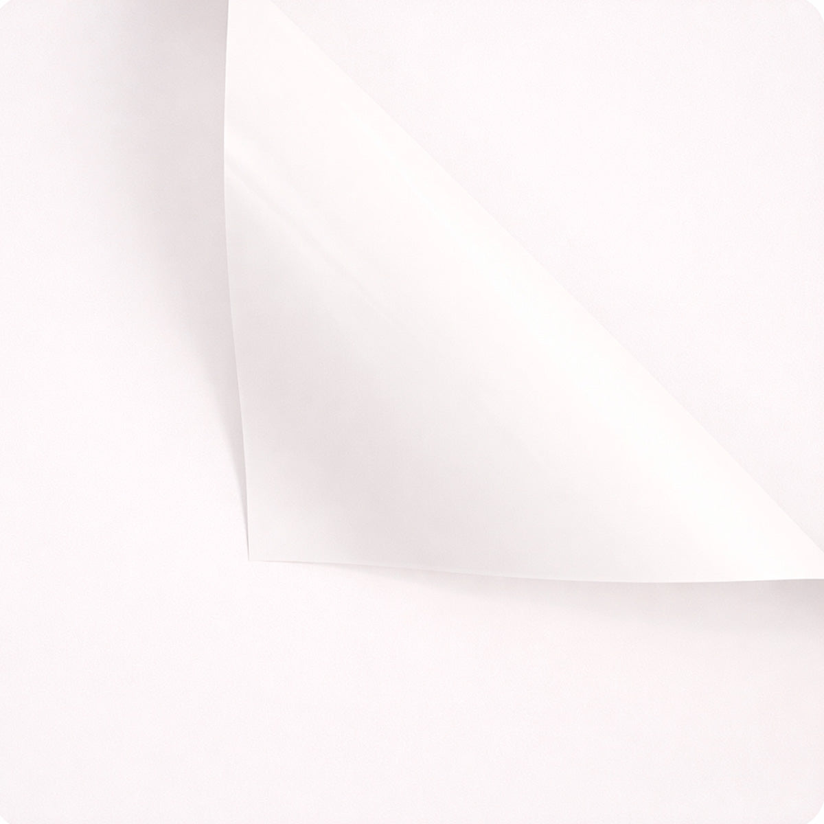 Papel para ramos blanco