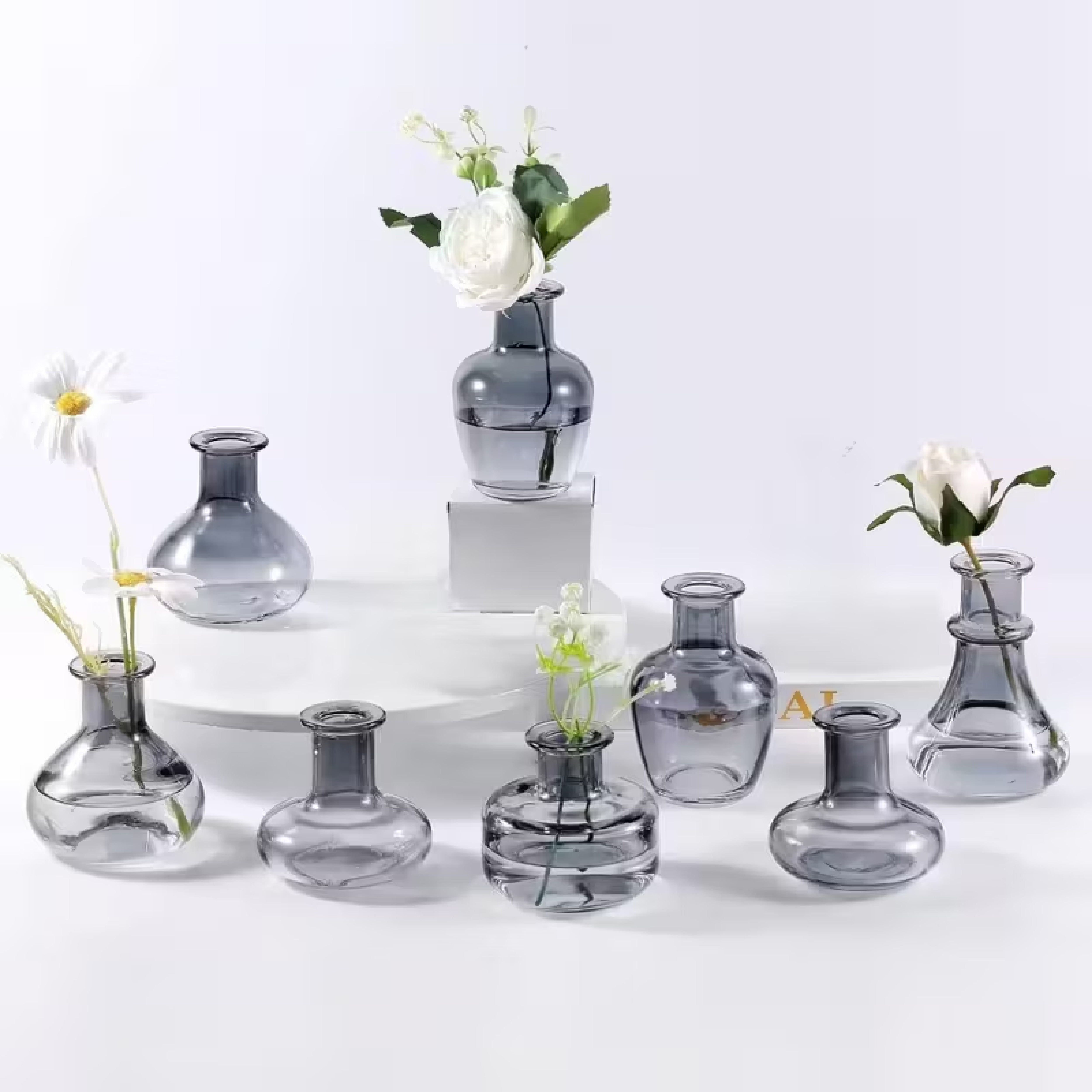 Set de Jarrones de Vidrio Pequeños Transparente – Mini Jarrones Decorativos para Flores
