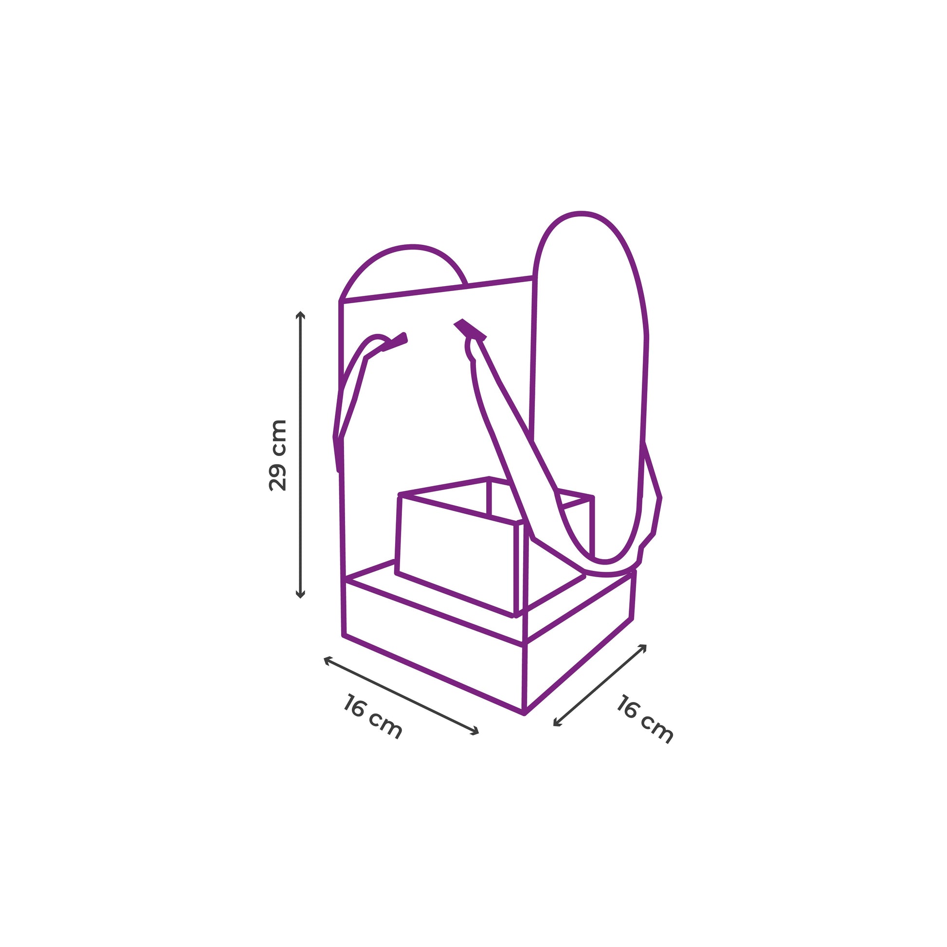 Medidas de Caja transparente para flores paquete 5 piezas