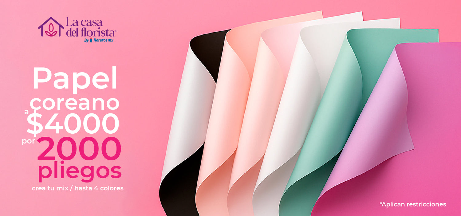 La Casa del Florista